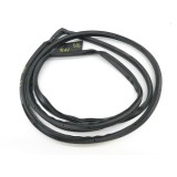 Borracha Fixa Porta Dianteira Esquerda Nissan Sentra 2.0