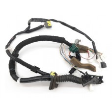 Chicote Porta Dianteira Esquerda Nissan Sentra 2.0