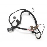 Chicote Porta Dianteira Direita Nissan Sentra 2.0