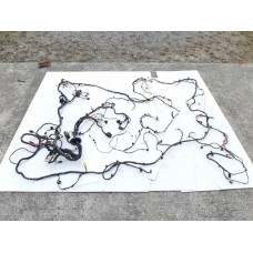 Chicote Original Completo Arrizo 6 2022