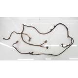 Chicote Elétrico Full 2010 2p  4226