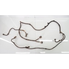 Chicote Elétrico Full 2010 2p  4226