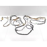 Chicote Forro Teto Ford Focus 2019