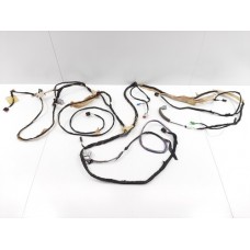 Chicote Forro Teto Ford Focus 2019