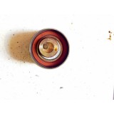 Polia Rolamento Do Esticador Tencionador Fiat 500