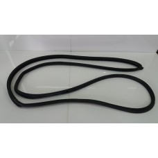 Borracha Fixa Porta Dianteira Direita Pajero Full 2005