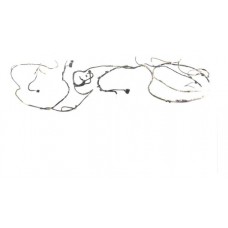 Chicote Forro Teto Freemont 14