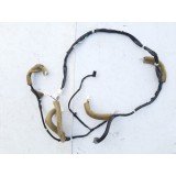 Chicote Teto Nissan Sentra 2015