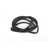 Borracha Fixa Porta Dianteira Esquerda Hilux Sw4 2.8