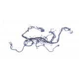 Chicote Painel Ford Ecosport 2.0 16v Gn1514401