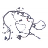 Chicote Injeção Ford Ecosport 2.0 16v Gn1t12c508