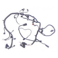 Chicote Injeção Ford Ecosport 2.0 16v Gn1t12c508