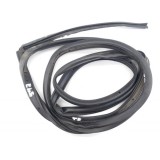 Borracha Fixa Porta Traseira Esquerda Ford Ecosport 2.0 16v