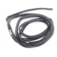 Borracha Fixa Porta Traseira Esquerda Ford Ecosport 2.0 16v