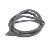 Borracha Fixa Porta Dianteira Direita Ford Ecosport 2.0 16v