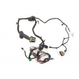 Chicote Porta Dianteira Esquerda Ford Ecosport 2.0 16v