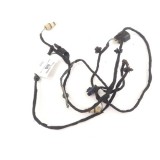 Chicote Parachoque Traseiro Ford Ecosport 2.0 16v Cn1515k868