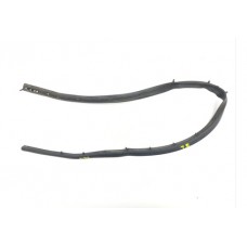 Borracha Fixa Porta Traseira Esquerda Renault Duster 2016