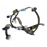 Chicote Porta Traseira Direita Toyota Prado