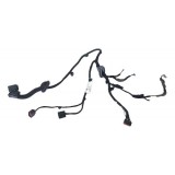 Chicote Porta Traseira Direita Evoque B565