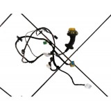 Chicote Porta Dianteira Esquerda Citroen C4