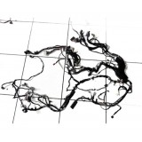 Chicote Motor Completo Fusion 2.0 Titanium