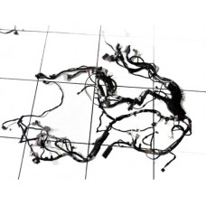 Chicote Motor Completo Fusion 2.0 Titanium