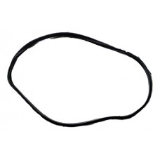 Borracha Porta Traseira Direita Fusion 2.0 Titanium