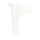 Para-lama Esquerda Mercedes C250 2015