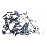 Chicote Motor Santa Fé