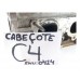 Cabeçote Motor C4 1.6 16v 9674062010