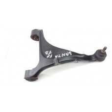 Biela Braço Susp. Traseira Direito Santa Fé 2.7 2010