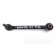 Biela Braço Pivô Susp. Traseira Santa Fé 2.7 2010