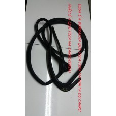 Borracha Porta Traseira Esquerda Civic 2014