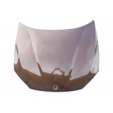 Capô Dianteiro Bmw X1 2.0 2011