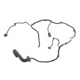 Chicote Porta Traseira Esquerda Chevrolet Spin 2015