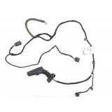 Chicote Porta Dianteira Direita Chevrolet Spin 2015