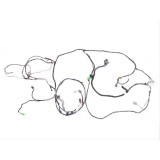 Chicote Elétrico Forro Teto Volvo Xc60 T5 2015 31374855