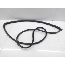 Borracha Fixa Porta Traseira Esquerda Nissan Versa