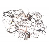 Chicote Elétrico Carroceria Bmw X4 2024