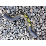 Mangueira Água Kia Optima 2014