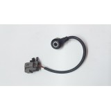 Sensor Detonação Volvo Xc60 T5   1s7a-12a699-bb