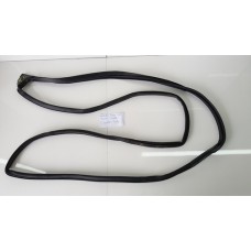 Borracha Porta Traseira Direita Corolla 2016