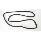 Borracha Porta Traseira Direita Jeep Compass 2017