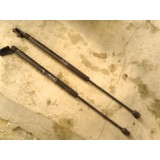 Par De Amortecedor Capo Traseiro Outlander