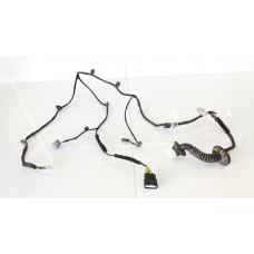 Chicote Porta Traseira Esquerda Hyundai Ix35  916502s020