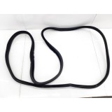 Borracha Porta Traseira Esquerda Discovery 4 2014 