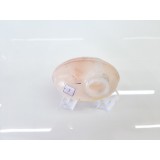 Reservatório Radiador Água Jeep Compass 2018