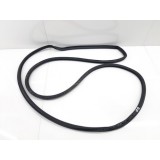 Borracha (fixa Porta) Dianteira Direita Jeep Compass 2018