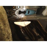 Pisca Para-lama Direito Bmw X6